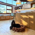 Load image into Gallery viewer, Chestnut Dog Bed Bundle