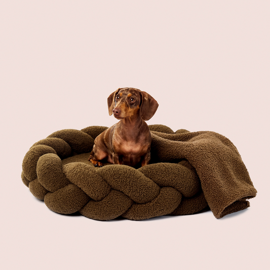 Olive Blanket
