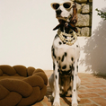 Load image into Gallery viewer, Dalmatian wearing sunglasses beside The Hersh Bed braided dog bed in Olive Teddy