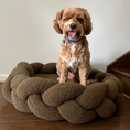 Load image into Gallery viewer, Happy Cavoodle sitting in The Hersh Bed olive Teddy dog bed