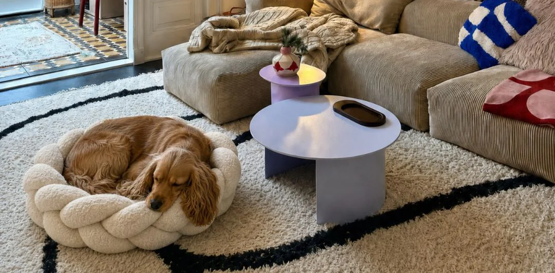 Dog Beds that Double as Furniture