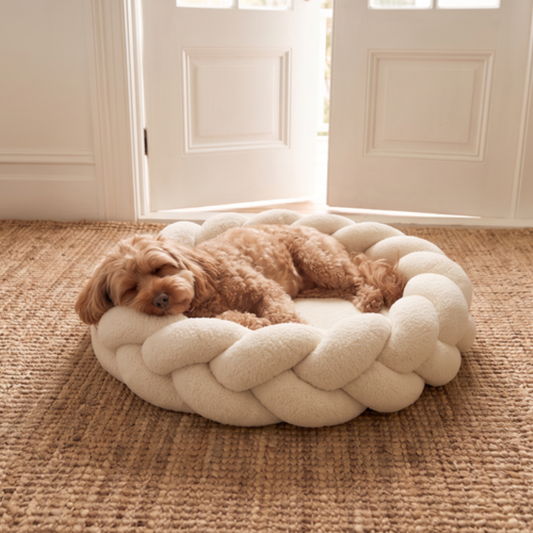 Oatmeal Teddy Dog Bed