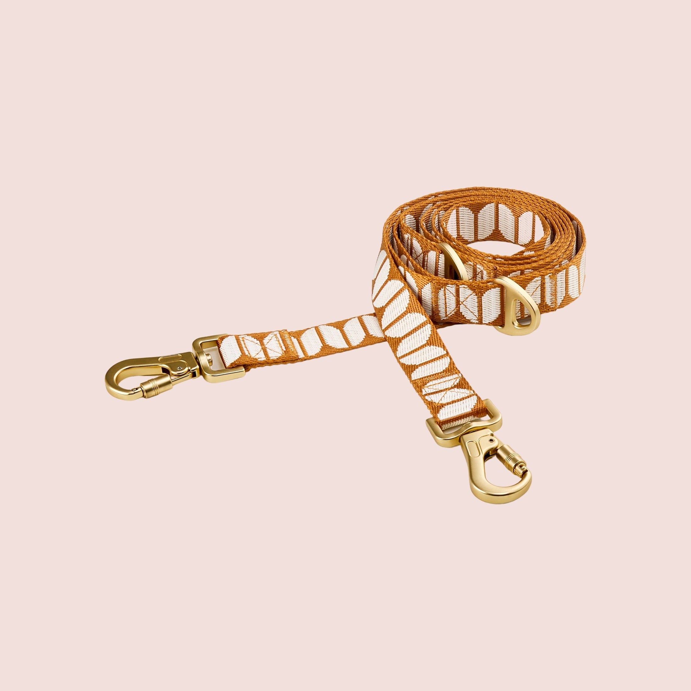 Leashes