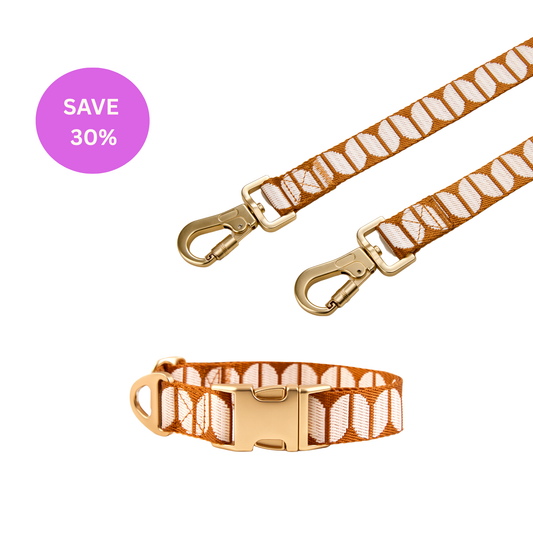 Dog Collar & Leash Bundle: Animal Pattern