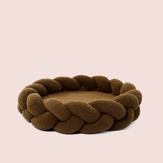 Olive Teddy
