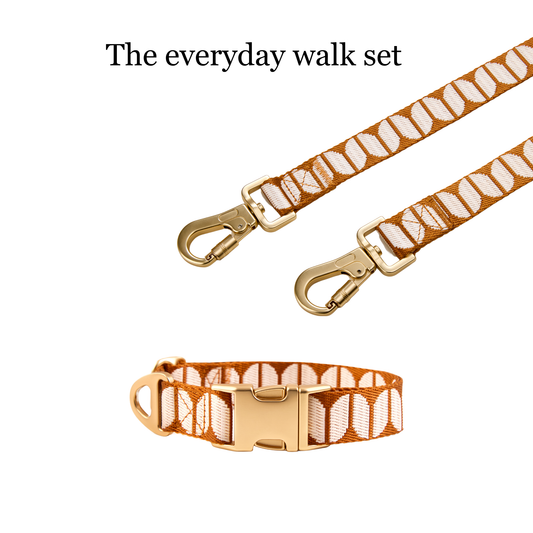 Dog Collar & Leash Bundle