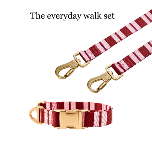 Dog Collar & Leash Bundle