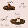 Load image into Gallery viewer, Olive Teddy
