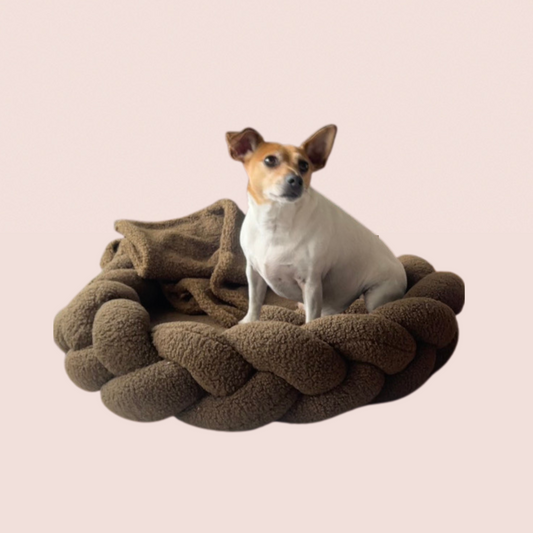 Olive Cozy Blanket
