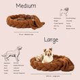 Load image into Gallery viewer, Chestnut Teddy
