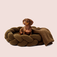 Load image into Gallery viewer, Olive Teddy
