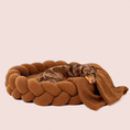 Load image into Gallery viewer, Chestnut Teddy
