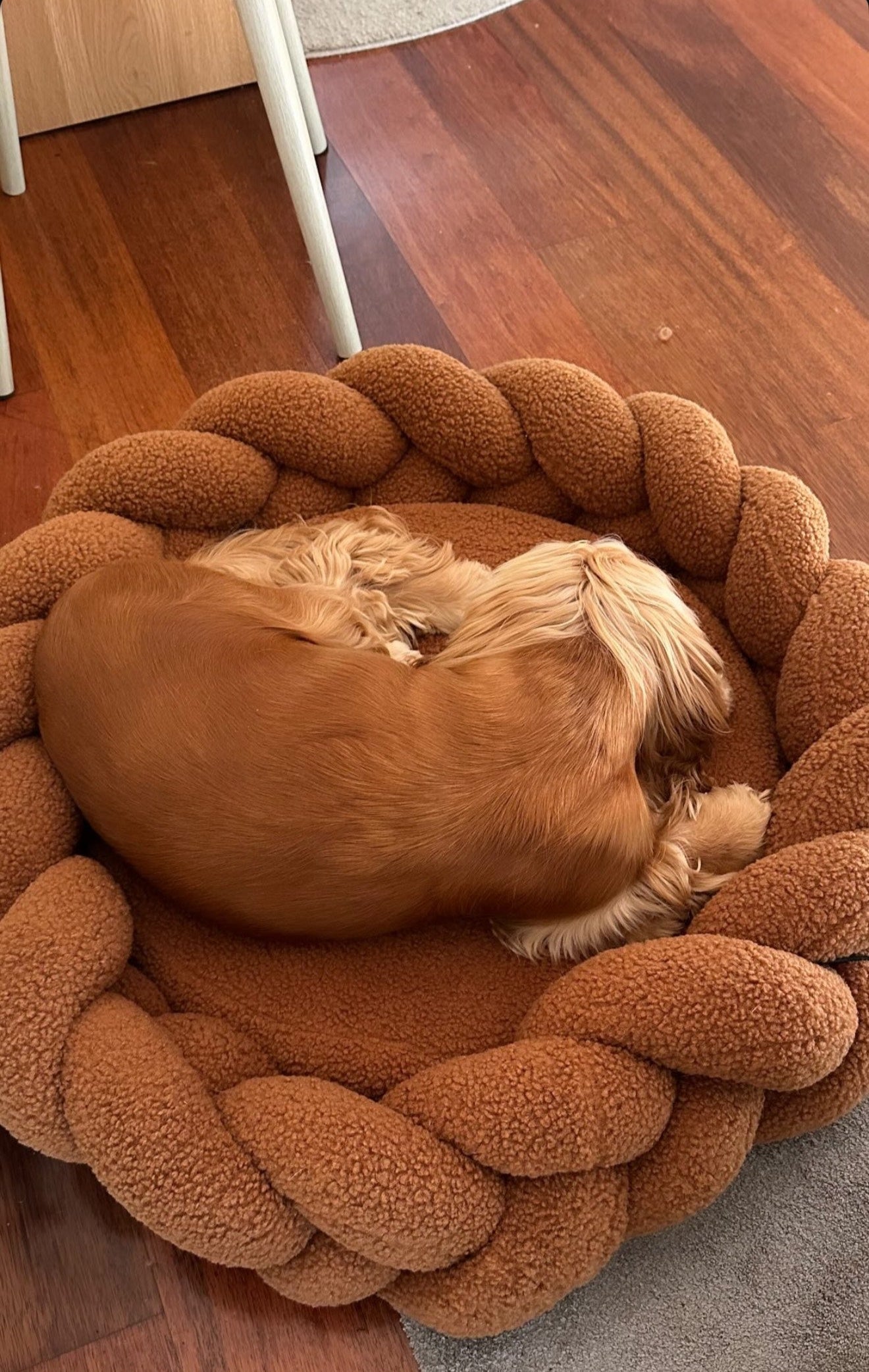 Chestnut Bundle