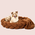 Load image into Gallery viewer, Chestnut Teddy
