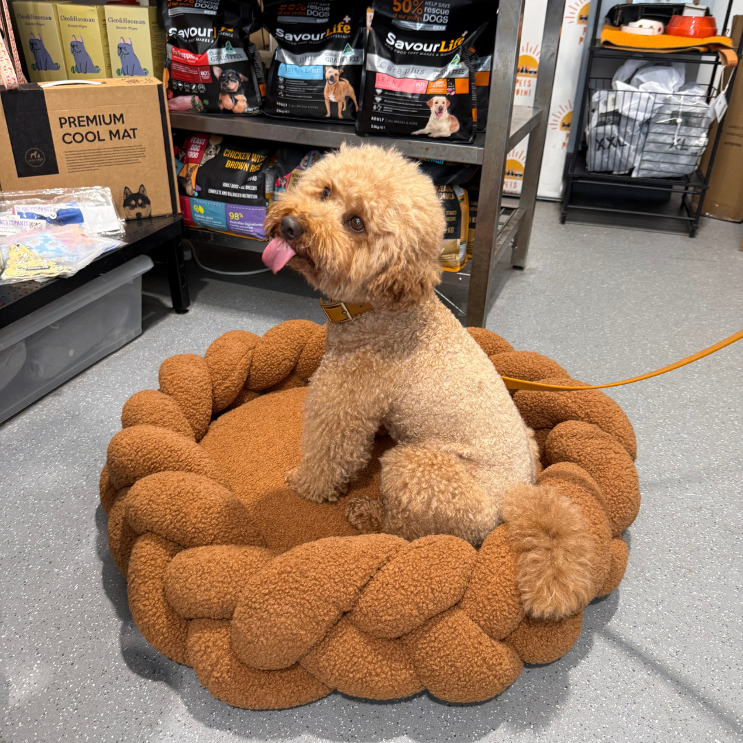 Chestnut Dog Bed Bundle