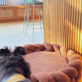 Load and play video in Gallery viewer, Chestnut Dog Bed Bundle
