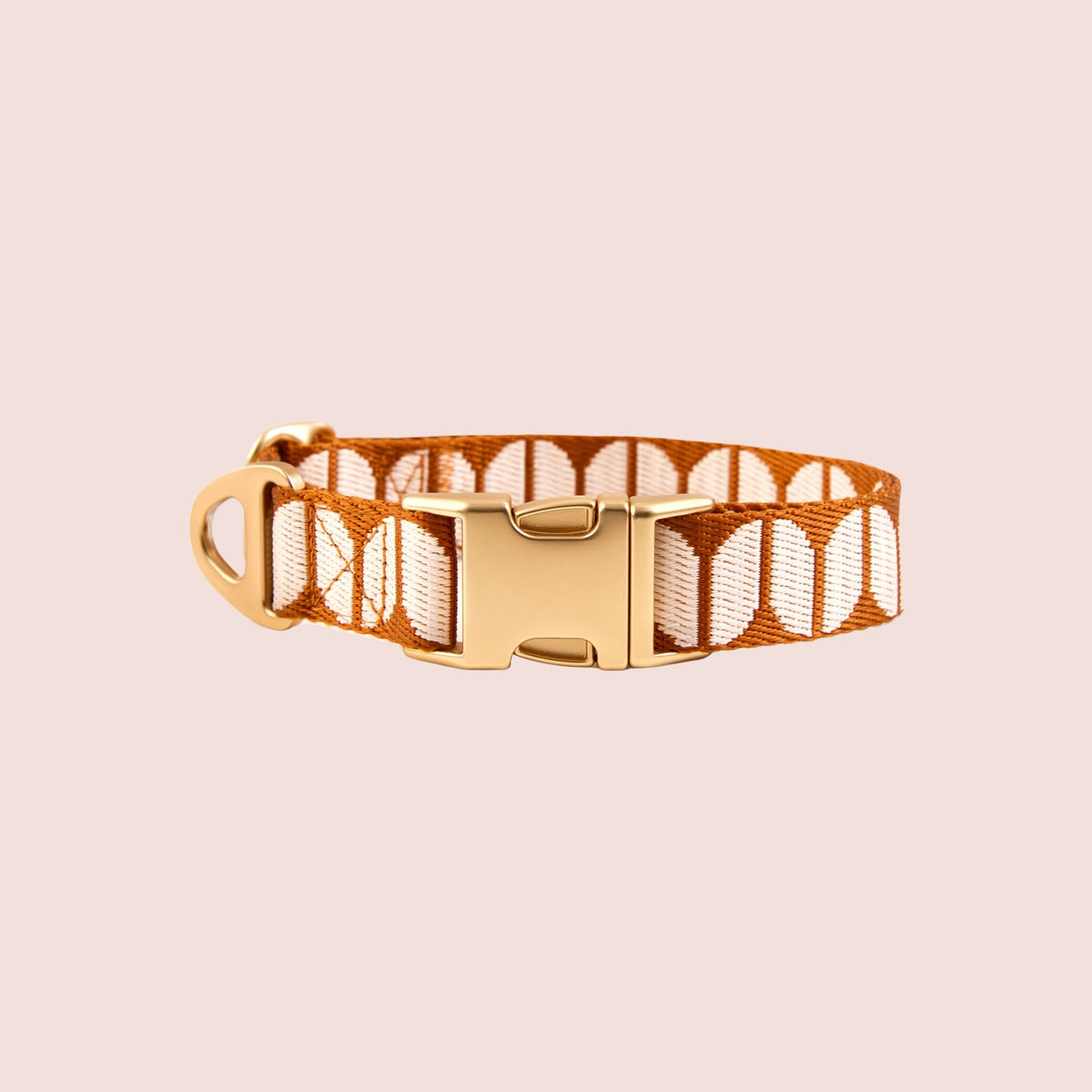 The Hersh Bed Animal designer dog collar with patterned webbing and gold buckle on a pink background