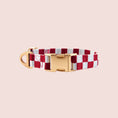 Load image into Gallery viewer, The Hersh Bed Checkered designer dog collar in blue and burgundy with gold hardware on a pink background
