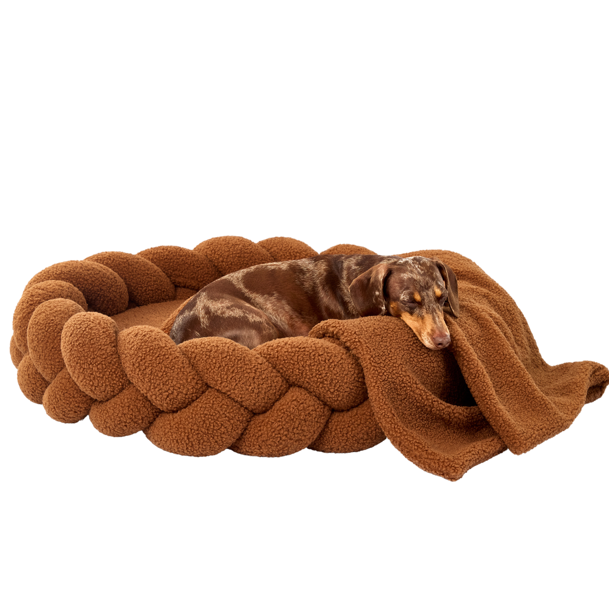 A dachshund rests on a plush, braided brown dog bed with a matching throw blanket, set against a plain white background.