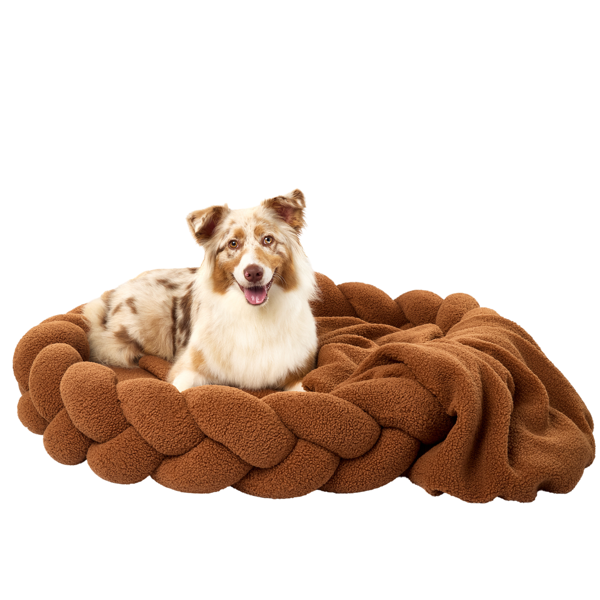 Dog relaxing in The Hersh Bed large Chestnut Teddy dog bed with matching blanket