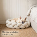 Load image into Gallery viewer, French Bulldog sleeping in The Hersh Bed washable braided dog bed in Oatmeal Teddy
