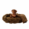 Load image into Gallery viewer, Dachshund sitting in The Hersh Bed Olive Teddy dog bed with matching Teddy blanket.
