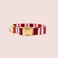 Load image into Gallery viewer, The Hersh Bed Striped designer dog collar in pink and burgundy with gold hardware on a pink background.
